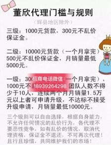 央視曝光董欣品牌引發(fā)關(guān)注，解析其官方代理招募模式與市場(chǎng)營(yíng)銷策略